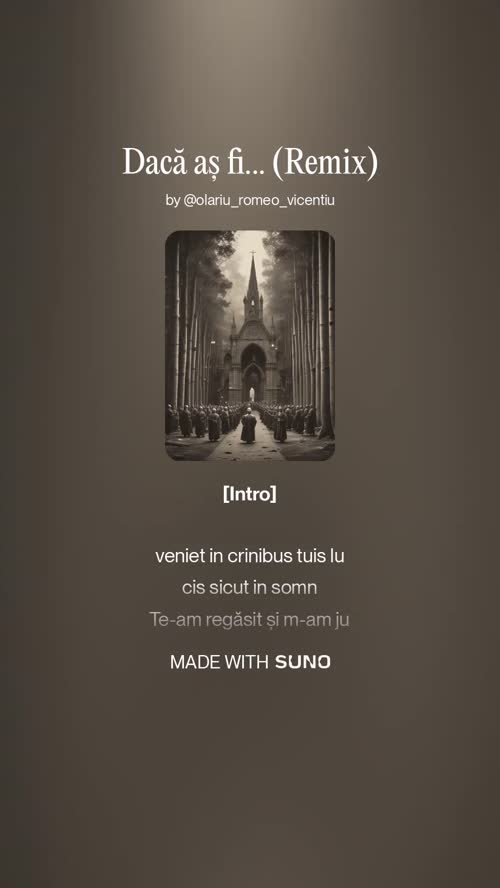 Dacă aș fi... Remix
